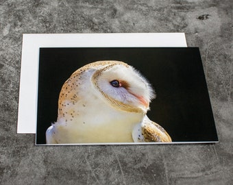 Individual Barn Owl Greeting Card with Envelope, Owl Notecard, Blank Notecard, All Occasion Greeting Card, Frameable Art