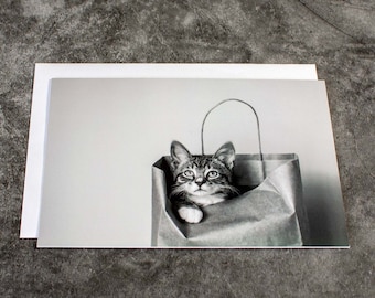 Kitten in Bag Notecard, Black and White Cat Photo, 5x7 Blank Greeting Card, Framable Art