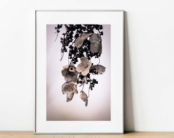 Oakleaf Hydrangea Print, Dried Flower Print, Flower Photography, Floral Wall Art, Oakleaf Hydrangea, Home Decor, Wall Art, Metal Print