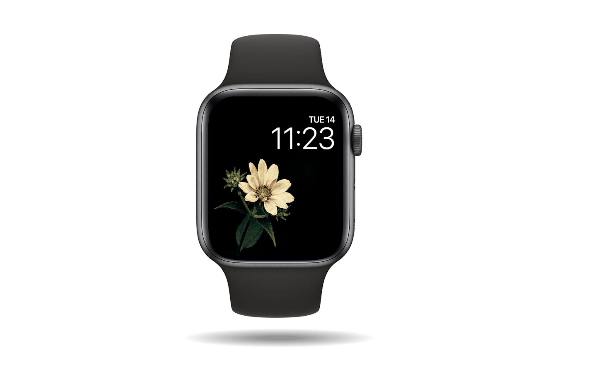 Wild Sunflower Watch Wallpaper, Digital Download, Flower Watch Wallpaper, Floral Watch Face