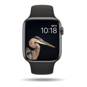 Great Blue Heron Watch Wallpaper, Digital Download, Heron Watch Face, Wildlife Watch Wallpaper, Watch Face, Apple Watch Wallpaper