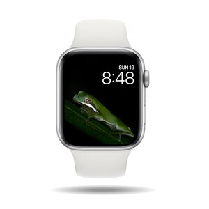Puede incluir: Un Apple Watch blanco con una banda blanca muestra la hora 8:48 y la fecha DOM 19. La esfera del reloj tiene una foto de una rana verde en una hoja.