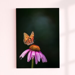 Gulf Fritillary Print, Orange Butterfly Photo, Purple Coneflower, Nature Photography