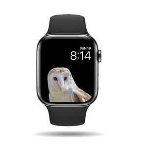Barn Owl Watch Wallpaper, Digital Download, Owl Watch Face, Wildlife Watch Wallpaper, Watch Face, Apple Watch Wallpaper