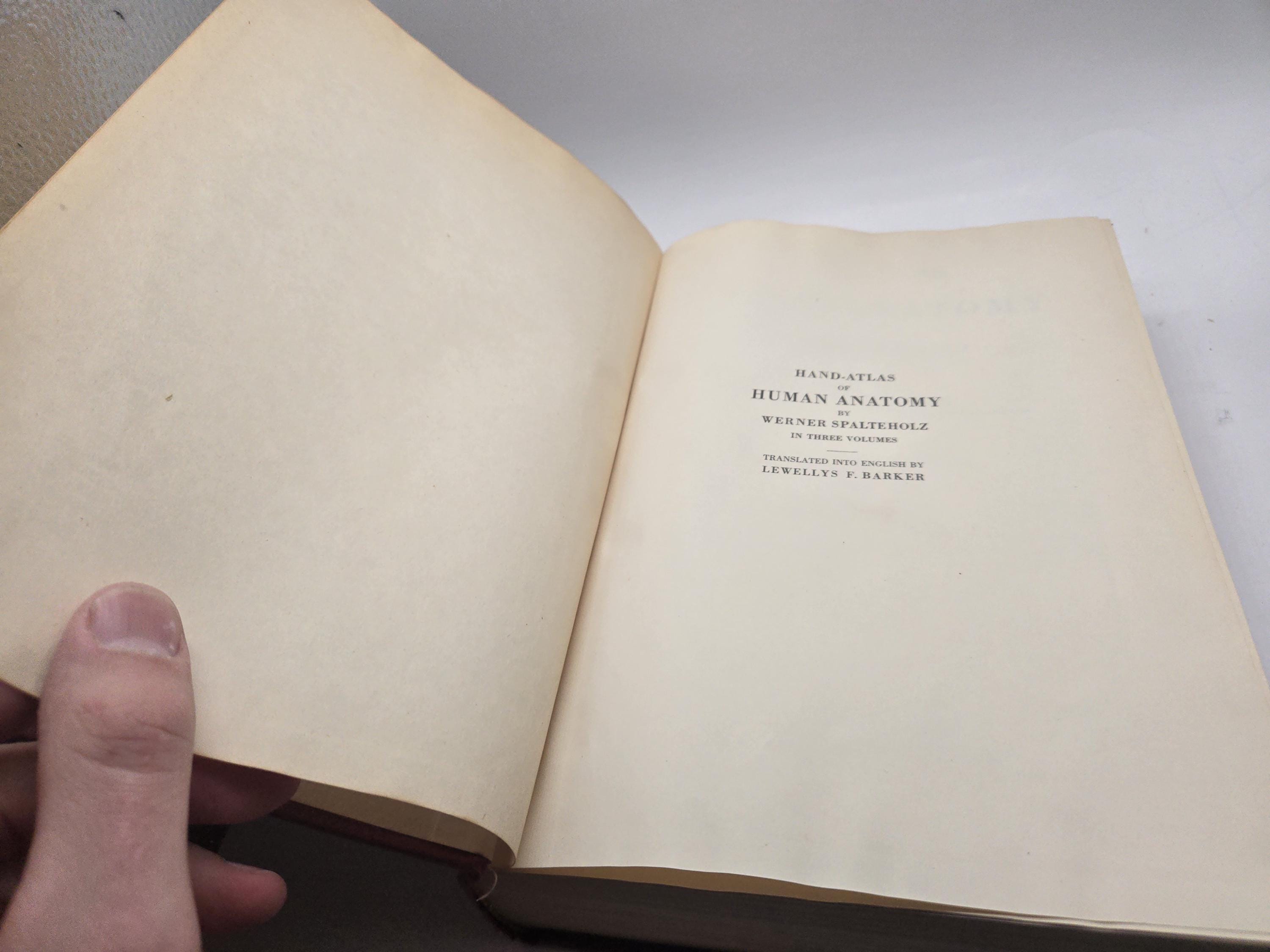 Werner Spalteholz Hand Atlas of Human Anatomy One Volume Edition