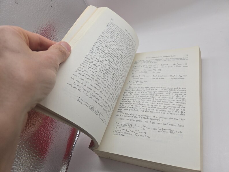 Puede incluir: Un libro abierto con texto y jerogl&iacute;ficos. Las p&aacute;ginas son de color blanquecino y el texto es negro. El libro est&aacute; abierto por una mano, revelando el contenido. El libro parece tratar sobre la historia del antiguo Egipto.