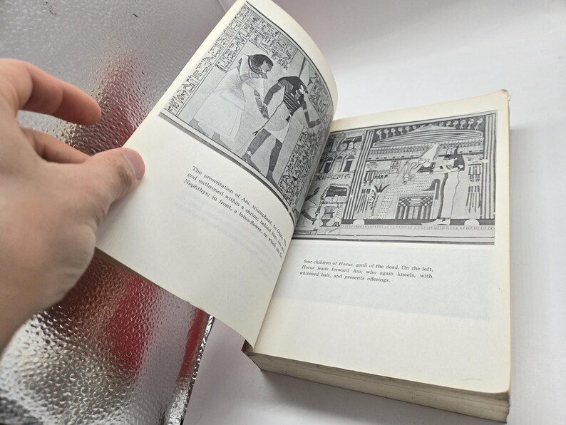 Puede incluir: Un libro abierto con ilustraciones en blanco y negro de arte egipcio antiguo. Las p&aacute;ginas se mantienen abiertas, revelando dibujos detallados de figuras y jerogl&iacute;ficos. Las p&aacute;ginas del libro son de color blanquecino.