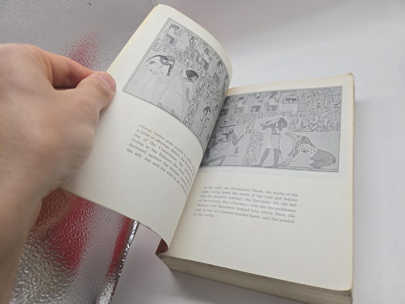 Puede incluir: Un libro abierto con ilustraciones en blanco y negro de arte egipcio antiguo. Las p&aacute;ginas son de color crema y el libro se mantiene abierto. Las ilustraciones representan figuras y jerogl&iacute;ficos.