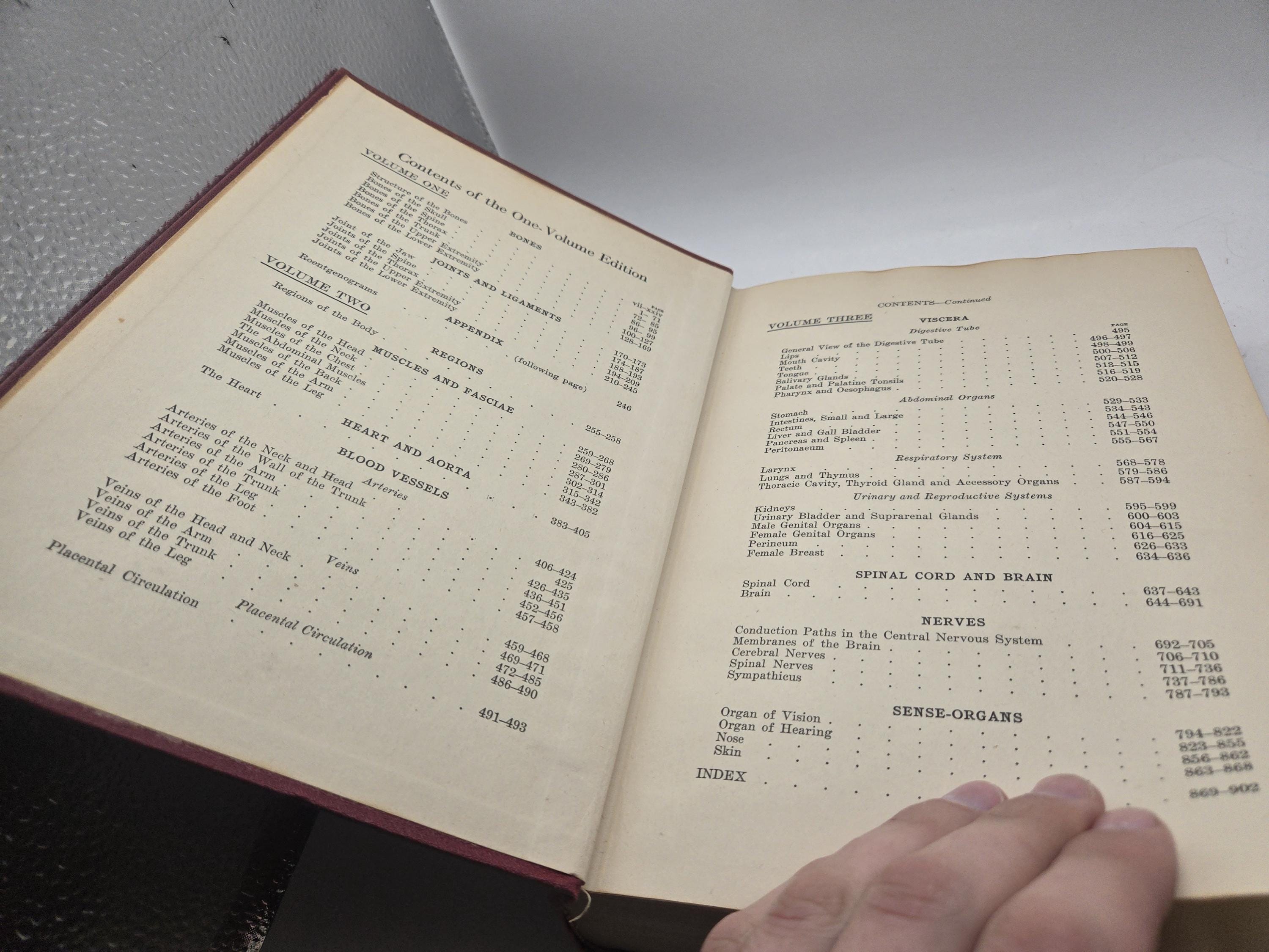 Werner Spalteholz Hand Atlas of Human Anatomy One Volume Edition