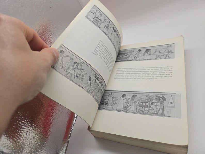 Puede incluir: Un libro abierto con p&aacute;ginas color crema que muestran ilustraciones en blanco y negro de arte egipcio antiguo. Una mano sostiene el libro abierto. Las ilustraciones representan figuras y escenas de la vida egipcia antigua.