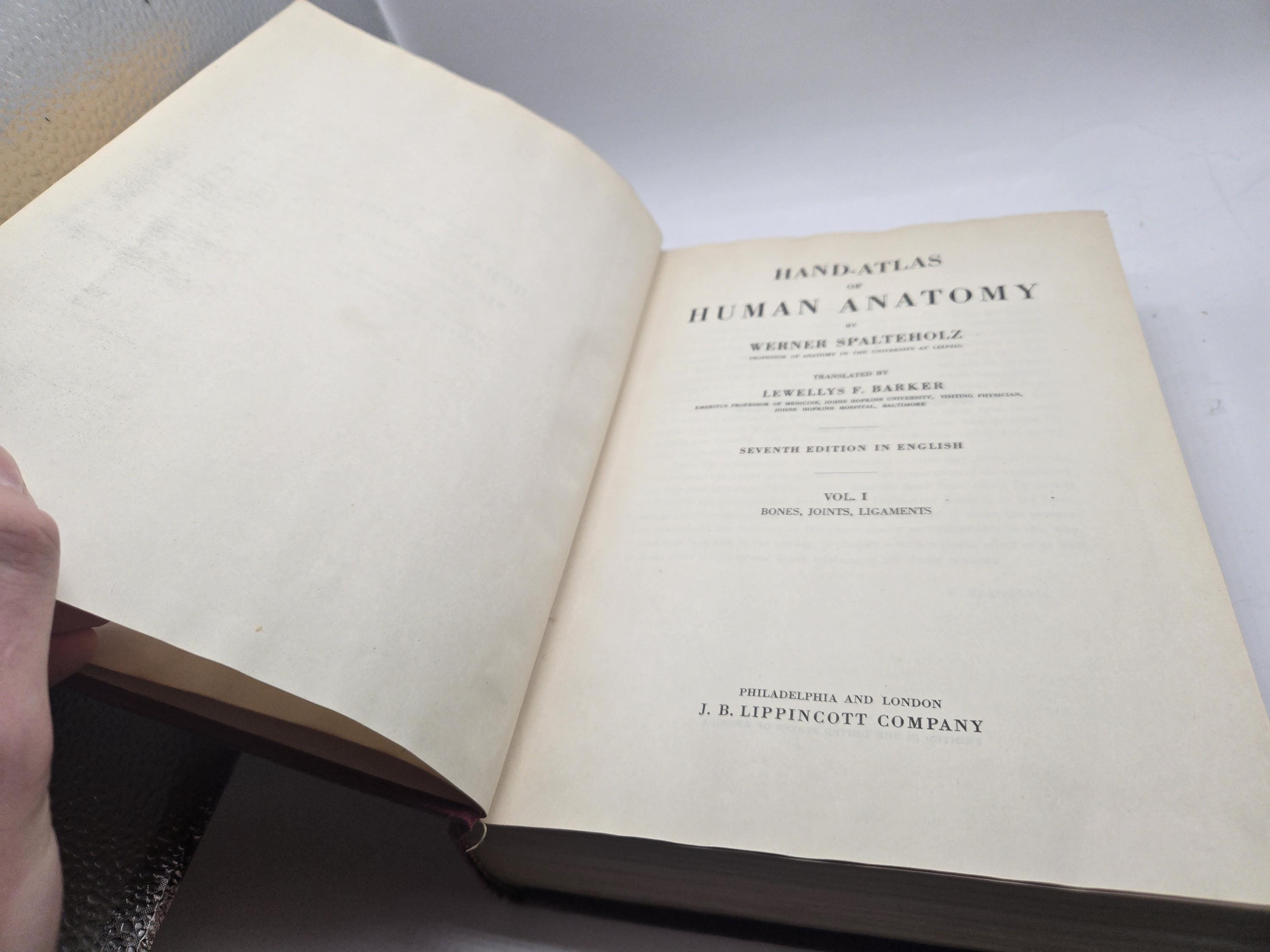 Werner Spalteholz Hand Atlas of Human Anatomy One Volume Edition