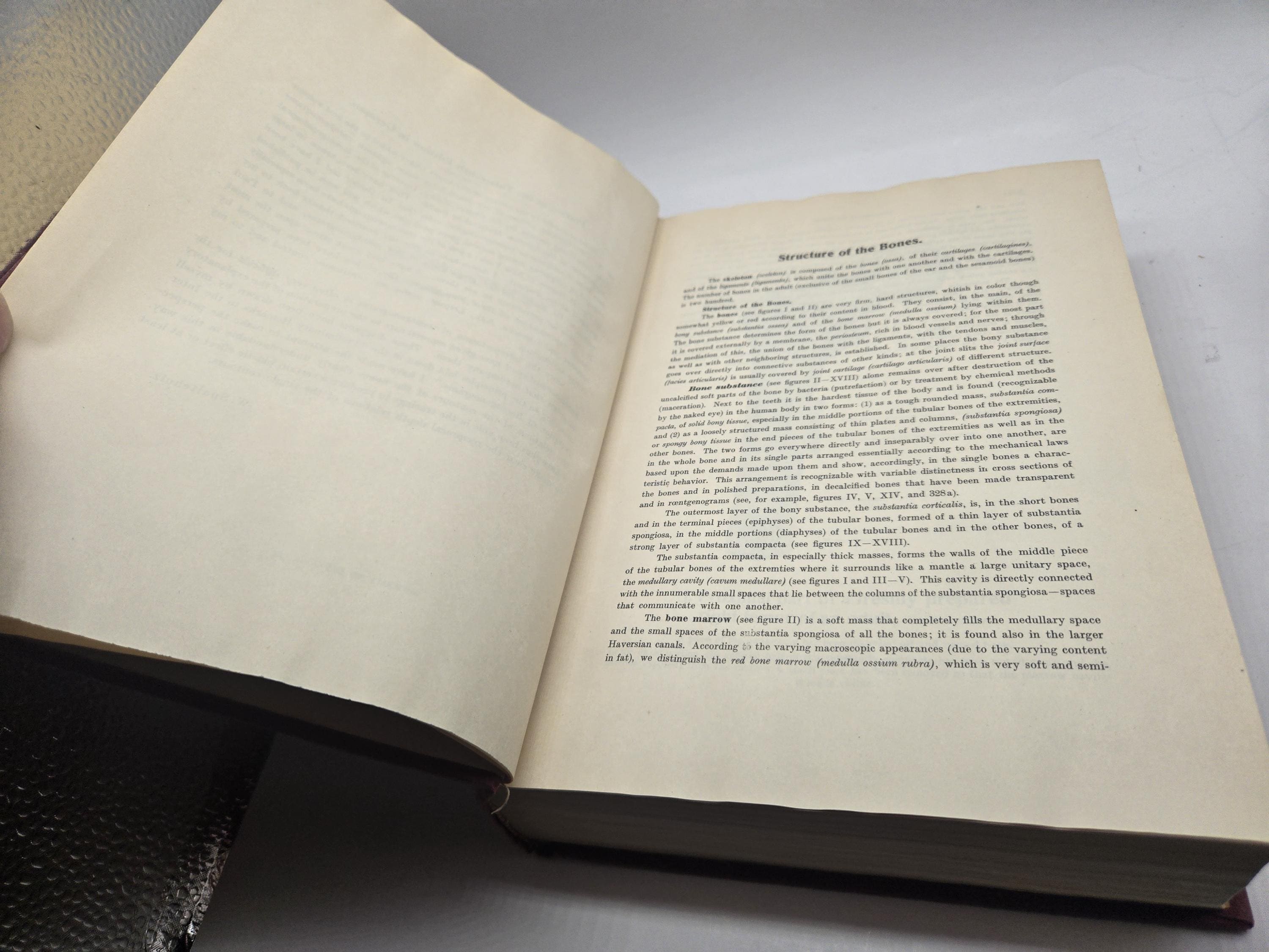 Werner Spalteholz Hand Atlas of Human Anatomy One Volume Edition