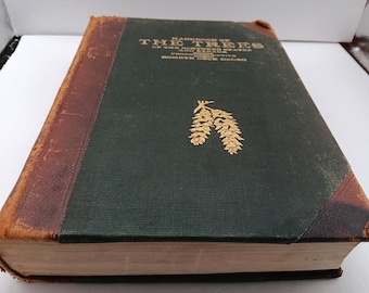 Handbuch der Bäume der Nordstaaten und Kanadas Romeyn Beck Hough 1918