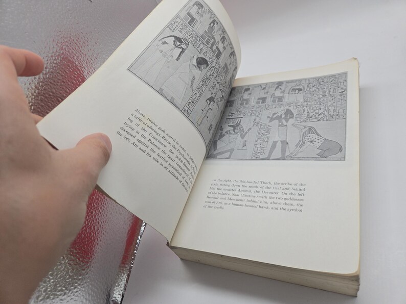 Puede incluir: Un libro abierto con ilustraciones en blanco y negro de arte egipcio antiguo. Las p&aacute;ginas son de color crema. La mano sostiene el libro abierto, revelando dibujos detallados y jerogl&iacute;ficos.