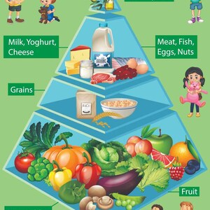Healthy Food Pyramid Chart for Kids Learning, Food Poster, School ...