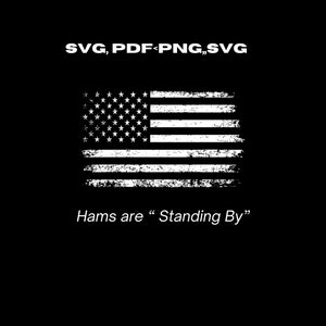 American Flag Ham Radio, Hams on Stand By (Digital)