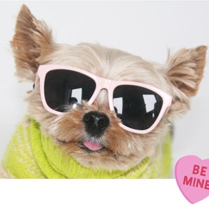 Hello Henri Be Mine Shades