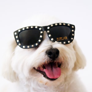 Hello Henri Black Large Sunglasses For Dogs