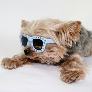 Hello Henri Tiny Baby Blue Dog Sunglasses