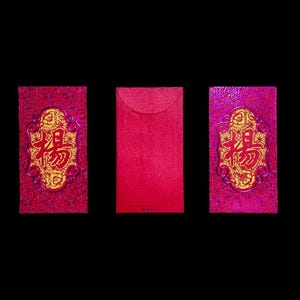 Caixa com 20 unidades de envelope vermelho de alta qualidade com design vazado "楊" e sobrenome chinês, pacote de presente de dinheiro da sorte para o Ano Novo Chinês | Festa de Casamento