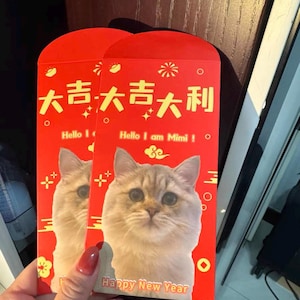Confezione da 10 foto personalizzate di animali domestici con cognomi, busta rossa per matrimonio, compleanno, occasioni speciali, capodanno cinese, pacchetto regalo di denaro fortunato