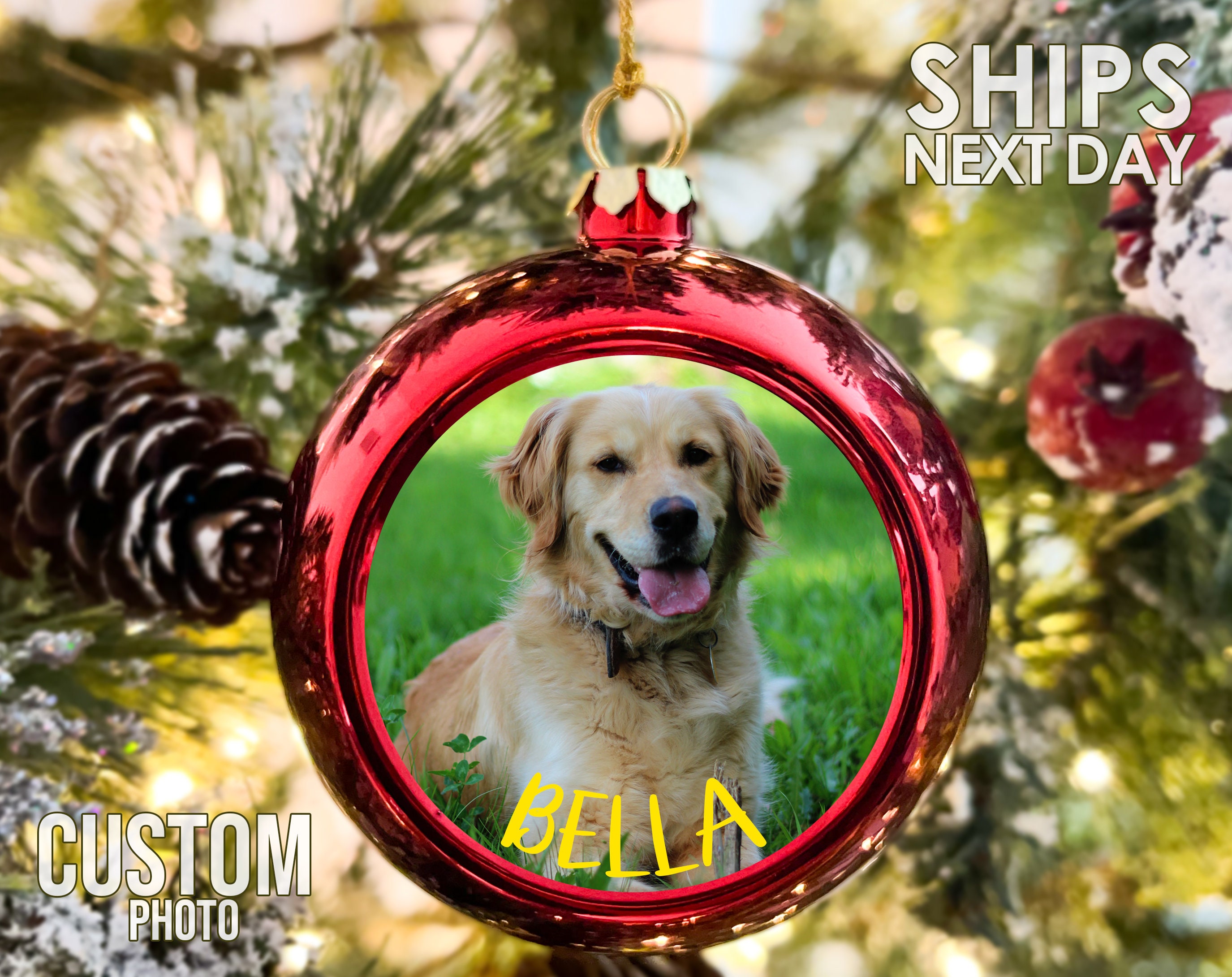 Personalized Dog Photo Ornament Ball, Custom Dog Ornament, Dog First