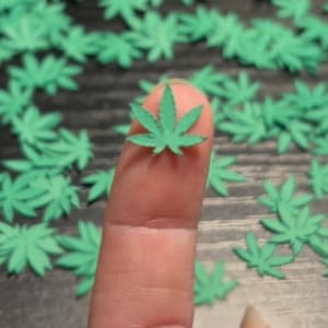 May include: A close-up of a finger holding a small, green, paper cannabis leaf. Many more green leaves are scattered around the finger. The leaves are a light green color and have a detailed, five-pointed shape. The image is well-lit and the leaves are in focus.