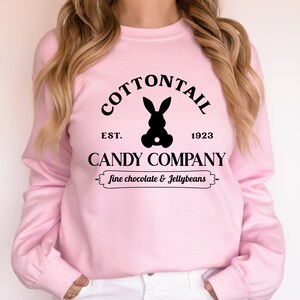 Cotton Candy Rose Horse Sweatshirt