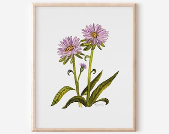 May include: A watercolor painting of two purple aster flowers with green leaves and stems on a white background. The artist's signature is in the bottom right corner.