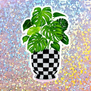 May include: A sticker featuring a green monstera plant in a black and white checkered pot. The sticker has a white border and the text "@februaryrosedesigns" at the bottom.