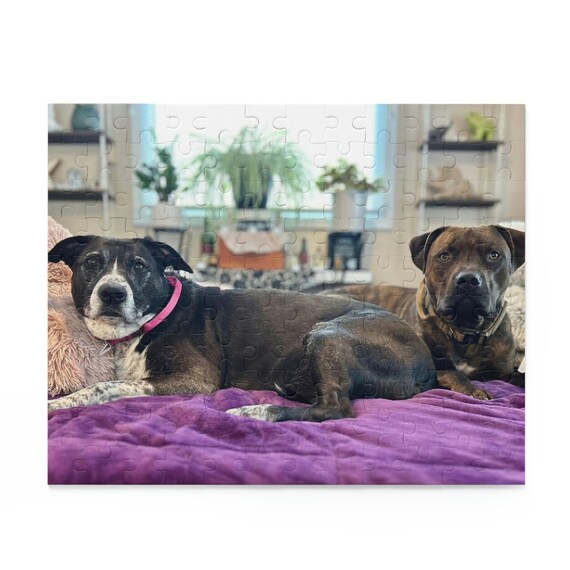 Pouty Face Pit Bull Puzzle 120, 252, 500-piece, Gift, Fun, Pitbull Love,  Jig Saw Puzzle, Puzzle Challenge, Canine Companion, Dog Lovers, 