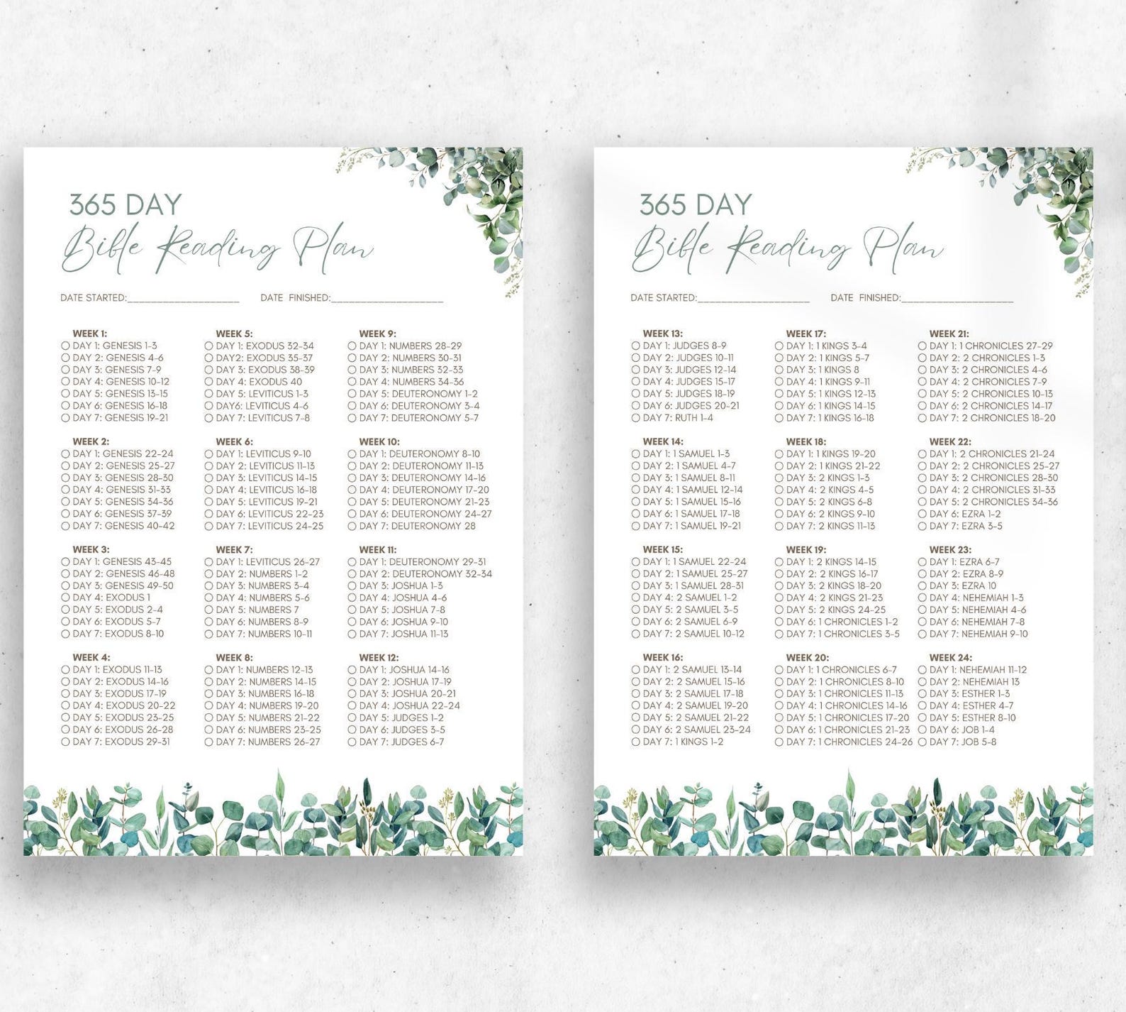 365-day Bible Reading Plan: Chronological Scripture Tracker (A4 PDF ...