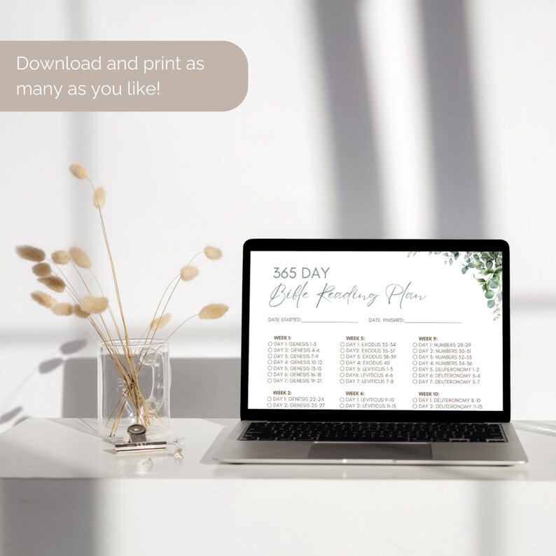 365-day Bible Reading Plan: Chronological Scripture Tracker (A4 PDF ...