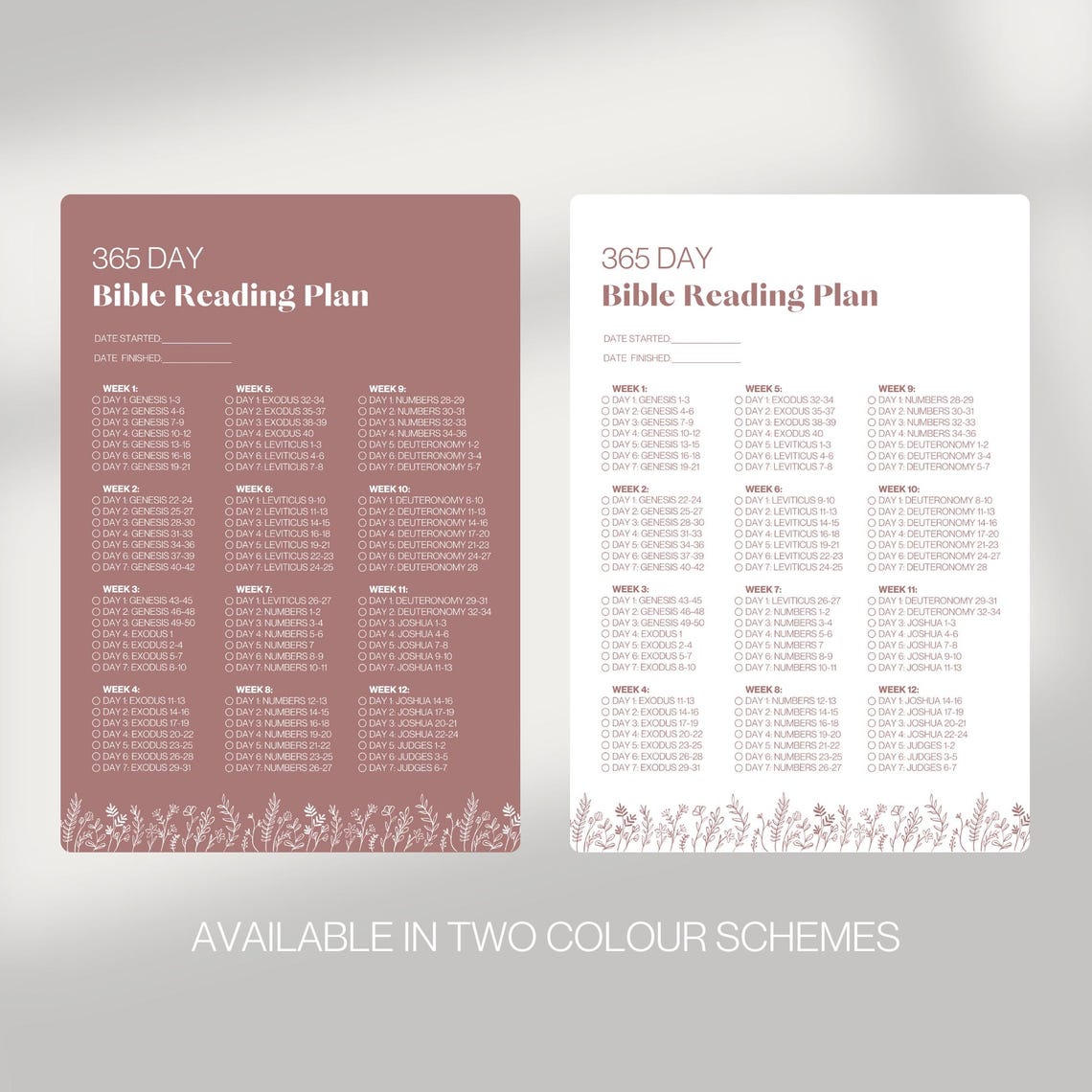 Chronological Bible Reading Plan: 365 Day Scripture Tracker (A4 PDF ...
