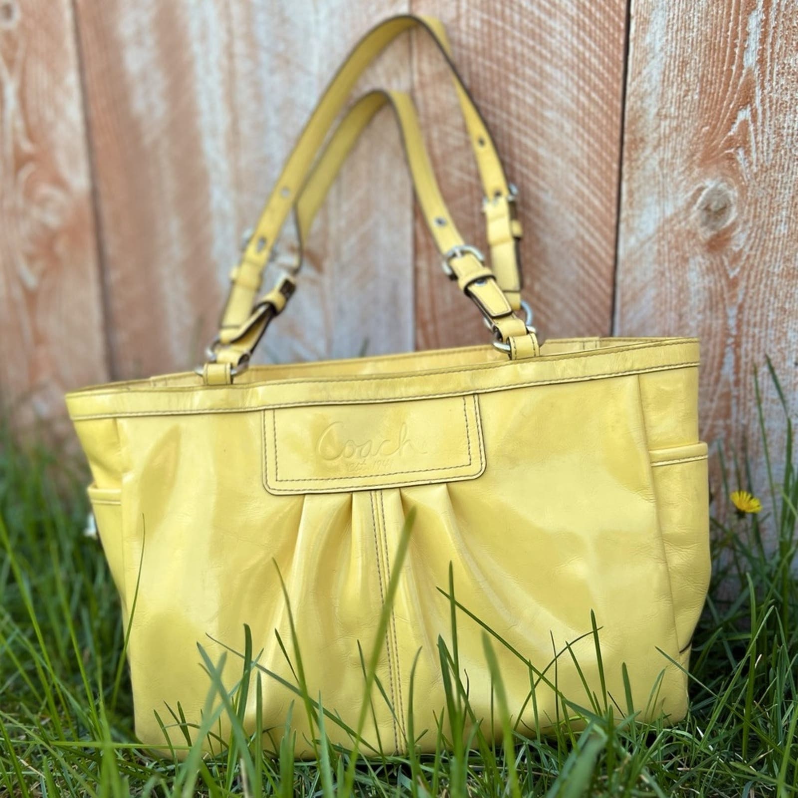 Coach pastel purse sale
