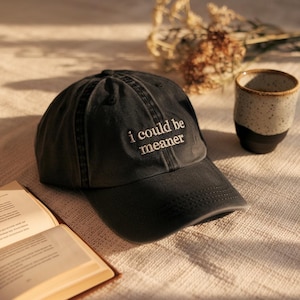 Embroidered I Could Be Meaner Baseball Hat, Spicy Attitude Baseball Hat, Sarcastic Hat, Funny Humor Hat, Sarcasm Hat, Funny Quote Hat