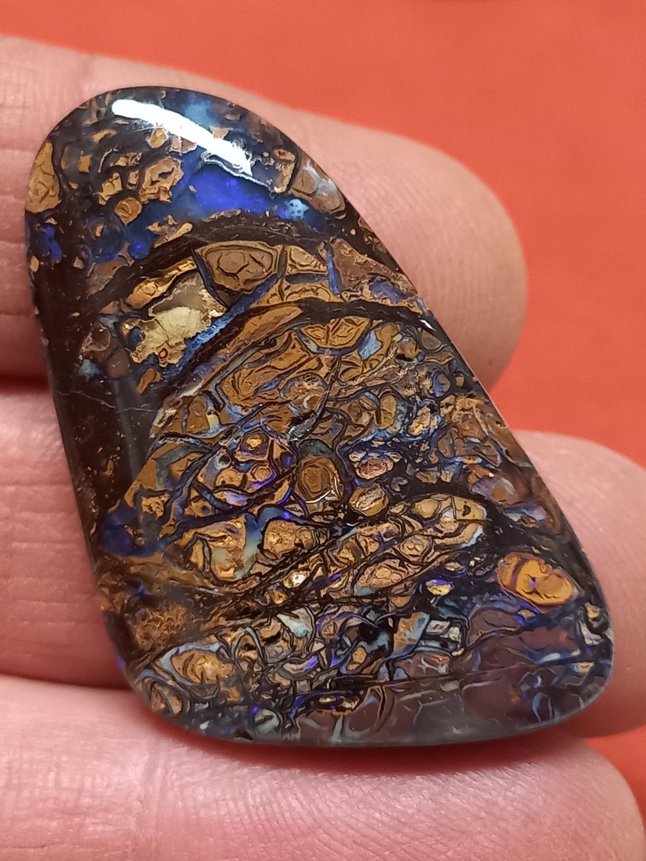 102ct オーストラリア　ヨワ産ナッツ オパール - October 安定化処理 1.48ct241107-2674 \\u2013 ASUNARO