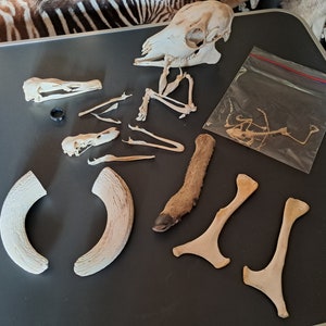 Lot of various curiosities