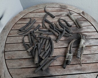 Authentic Springbok Horn Set – Left & Right, 7 To 9 Inches, South Africa