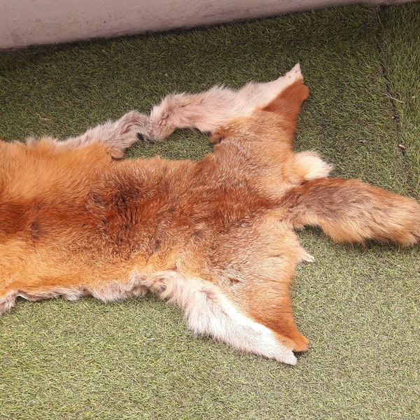 European fox skin