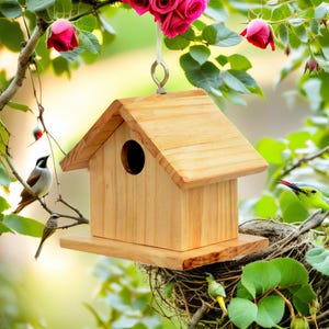 Decorative Bird house for home and garden, Wooden Nest Box Bird box, Wooden Bird house, Feeder Box for the birds, Gift for Bird Lovers