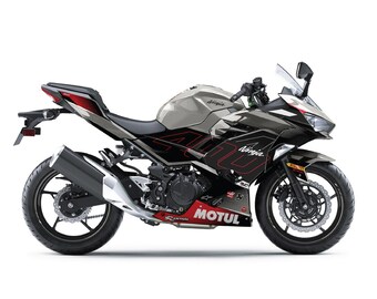 カワサキ Ninja 400 2018-2024 グレー レーステーマ グラフィック