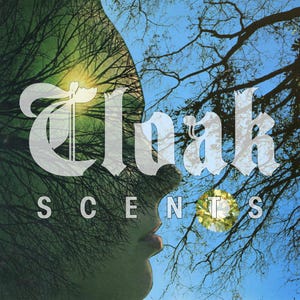 Cloak Scents - 5 Roll-on Bottles image 12