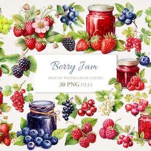 Bundle de cliparts aquarelle confiture de baies. Illustration de l'IA aux fraises et aux framboises. Téléchargement instantané pour une utilisation commerciale. Journal indésirable. PAQUET DE 30