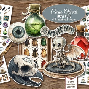 May include: A collection of watercolor-style illustrations featuring a variety of curiosities. Includes a skeletal dragon, potion bottles, an eyeball, beetles, and other mystical elements. The text "Curio Objects Fussy Cuts" is visible.