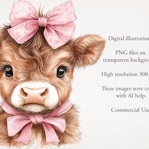 May include: A digital illustration of a brown and white Highland cow calf with a pink bow on its head and a pink bow around its neck. The background is white.