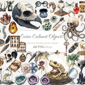 Ensemble de bibelots de la culture vautour du cabinet de curiosités Dark Academia Magic Witchy School Clipart Bundle. Journal de scrapbooking. 68 PNG