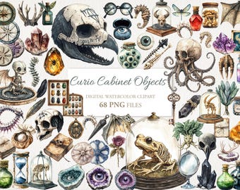 Cabinet of Curiosities Vulture Culture Curio Dark Academia Magic Witchy School Clipart Bundle. Scrapbook Junk Journal. 68 PNG