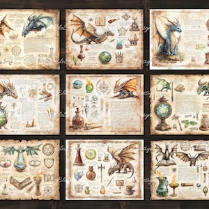 May include: Set of nine vintage-style illustrations featuring dragons, potions, and magical objects. Each illustration is framed with a parchment-like border and includes handwritten text and symbols.