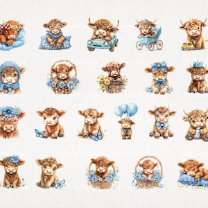 Baby Boy Highland Cow Watercolor Clipart PNG Bundle. Newborn Children ...
